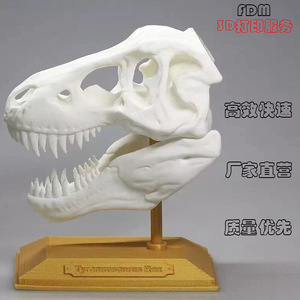 Modelo de Cráneo de Tiranosaurio Rex Impreso en 3D con Tecnología FDM, 15 cm de Diámetro, Servicio de Impresión FDM de Alta Precisión para Educación y Exhibición - Product Image 1