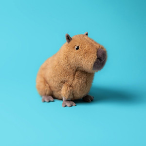 ตุ๊กตาเจลลี่แคท ไซส์กลาง รุ่นไคลด์ คาปิบารา ของเล่นตุ๊กตาสัตว์ป่า ของเล่นนุ่ม คุณภาพสูง เหมาะสำหรับเป็นของขวัญวันเกิด - Product Image 2