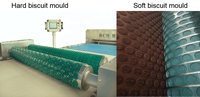 Ligne de production automatique de biscuits et de gâteaux, machine d'emballage, haute efficacité, acier inoxydable 304, capacité de 100 à 1000 kg/h