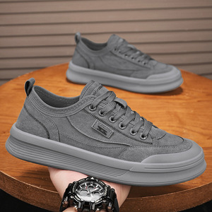 Chaussures de course basses en maille à lacets pour hommes, nouvelle tendance mode automne 2025, polyvalentes pour l'extérieur, le sport, le travail et la conduite - Product Image 2