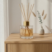 Bouteilles de diffuseur de parfum personnalisées en gros, bouteilles d'aromathérapie, capacités 50ml 60ml 80ml 100ml 120ml 160ml 200ml