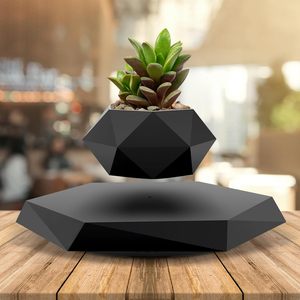 Mag Pot à plantes en lévitation Support flottant <span class=keywords><strong>pour</strong></span> plantes succulentes Petites plantes <span class=keywords><strong>pour</strong></span> la maison Salon <span class=keywords><strong>Bureau</strong></span> <span class=keywords><strong>Bureau</strong></span> - Product Image 2