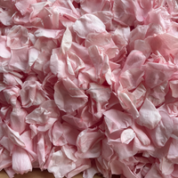 Vente d'usine - Pétales de fleurs naturelles parfumées, blanches, biologiques et préservées, couleurs rose et bleu, boîte carrée de Noël 10g, confettis de mariage