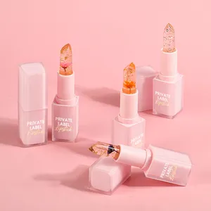 Diskon besar Lipstik bunga lipstik Vegan tahan air kustom tabung lipstik Label Anda sendiri