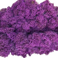 Fleurs éternelles de Limonium en cristal, en gros, directement de l'usine, stock disponible, approvisionnement en vrac auprès du fabricant du Yunnan