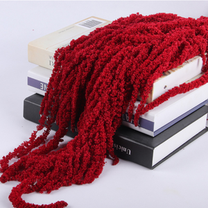Tallos de <span class=keywords><strong>Amaranto</strong></span> Preservados al por Mayor, Flores de Borla Rojas/Moradas de Larga Duración, Decoración de Paredes, Centros de Mesa, 100 cm, Día de San Valentín - Product Image 1