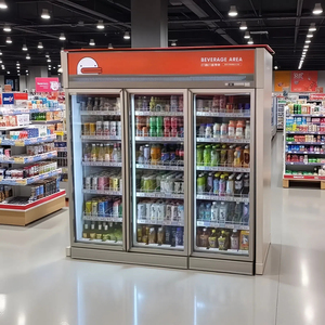 Refrigerador de Bebidas <span class=keywords><strong>Coca</strong></span>-Cola de Doble Puerta Transparente con Iluminación, Tipo Chiller de Montaje Superior - Product Image 6