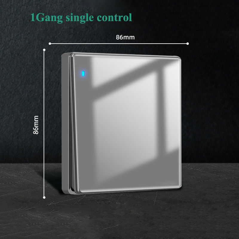 1Gang Single Control