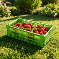 Panier pliable en plastique pour fruits et fraises, panier de cueillette en plastique