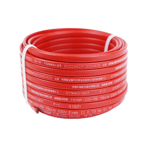 HUANRUI Câble chauffant électrique 12V Kits de bandes chauffantes Câbles d'alimentation 24V/230V avec usage industriel autorégulateur Acier plaqué cuivre - Product Image 6