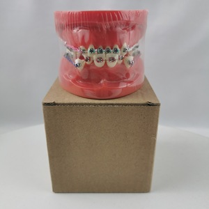 Modèle orthodontique Heidefee M3005, modèle de dents anatomiques en silicone médical rouge pour usage domestique - Product Image 5