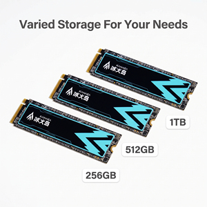 Solution de stockage interne économique M.2 2280 SSD 256 Go 512 Go 1 To NVMe PCIe 3.0 pour PC de bureau - Product Image 5