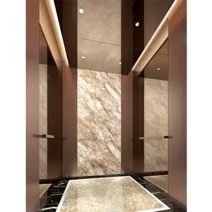 Foshan Elevator Elevator Lift For 5 People Stainless Steel Luxury Business Elevator Made In China