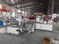 Envoltura de papel individual automática Bolsa de OPP Máquina de embalaje de barra agitadora de café