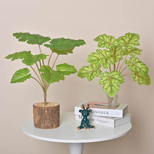 ดอกไม้<span class=keywords><strong>ป</strong></span>ระดิษฐ์ใบแตงโมแอ<span class=keywords><strong>ป</strong></span><span class=keywords><strong>เปิ้</strong></span><span class=keywords><strong>ล</strong></span>ฮิมิอุปกรณ์ตกแต่งผนัง<span class=keywords><strong>ต้น</strong></span>ไม้กระถางขนาดเ<span class=keywords><strong>ล</strong></span>็ก - Product Image 4