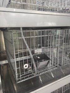 כמות גבוהה מעבדה נירוסטה ארנב כלוב - Product Image 5