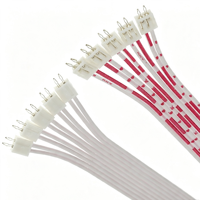 Cable Plano de Doble Extremo con Paso de 2.54 mm XH, Cable de Conexión de Doble Cara para Iluminación, PCB, Cableado Interno Electrónico