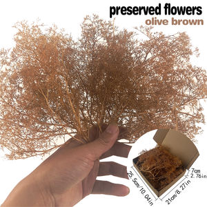 Árboles y Arbustos de Maqueta Superrealistas para Escaleras, ModelO HO 00 n, Diorama de Juegos de Guerra, Fondo de Tren - Product Image 6