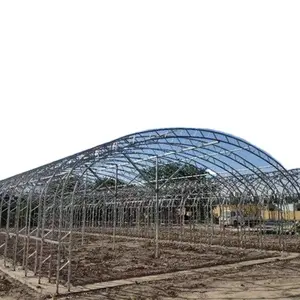 High Strength Agricultural Poly Tunnel Green House/tomato Greenhouse For Sale