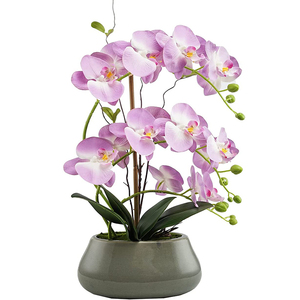 Fiori di orchidea di seta di plastica <span class=keywords><strong>in</strong></span> <span class=keywords><strong>vaso</strong></span> di ceramica Bonsai artificiali orchidea bianca <span class=keywords><strong>orchidee</strong></span> <span class=keywords><strong>in</strong></span> <span class=keywords><strong>vaso</strong></span> finte alte - Product Image 3