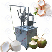 Machine Industrielle à Éplucher la Peau de Noix de Coco, Machine à Découper les Noix de Coco à Diamant