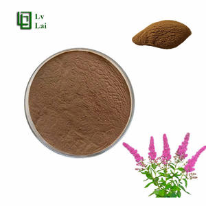 Poudre d'Astilbe <span class=keywords><strong>Chinensis</strong></span> de haute pureté complètement soluble dans l'eau Poudre d'extrait d'Astilbe <span class=keywords><strong>Chinensis</strong></span> Grande offre - Product Image 2