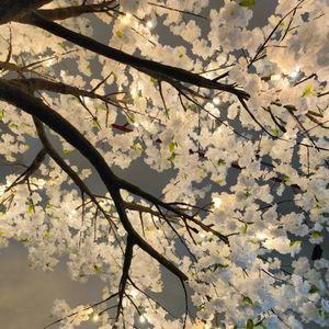 Real Touch Tamaño grande 3,3 M Altura 4m Ancho Árbol <span class=keywords><strong>de</strong></span> luz <span class=keywords><strong>de</strong></span> flor <span class=keywords><strong>de</strong></span> cerezo blanco con nueva técnica y material <span class=keywords><strong>de</strong></span> alto polímero - Product Image 2