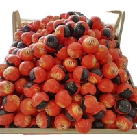 Boule anti-incendie AFO de 0,5 kg, prix d'usine, boule extincteur automatique