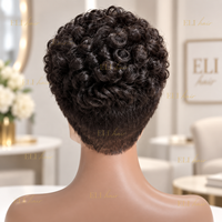 Perruque Pixie Cruly en Cheveux Humains, Courte et Bouclée, Sans Colle, Dentelle Complète, Noir Naturel, Pré-Pluckée, 100% Cheveux Humains, Cheveux Indiens Bouclés