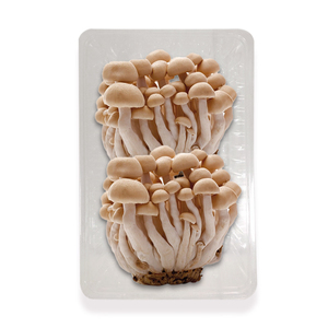 Caja de embalaje popular para hongos con función antivaho, tamaño personalizado, bandeja para alimentos para mascotas para mantener la frescura por más tiempo - Product Image 1
