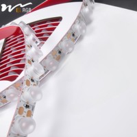Bande LED Monochrome Cuivre 24V Basse Tension Auto-Adhésive avec Lentille, Ra93, Durée de Vie 50000 Heures, pour Éclairage Architectural Intérieur