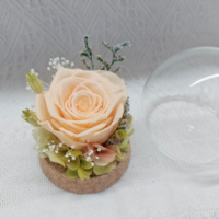 Miniature de rose naturelle conservée, mini-rose dans l'herbe, cadeau pour la fête des mères et des pères, prix d'usine