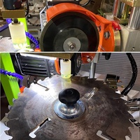 Affûteuse automatique de lames de scie circulaire en carbure TCT Offre Spéciale pour le travail du bois TGS