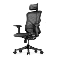 Chaise de bureau ergonomique JNS, best-seller, avec réglage de la hauteur du dossier, accoudoirs réglables en 3D, chaise en maille