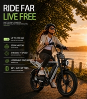 Vélo électrique EU VELOPRO M9, style moto vintage, 20 pouces, 250W, batterie 48V35Ah, autonomie 110-130 km, vélo électrique longue portée