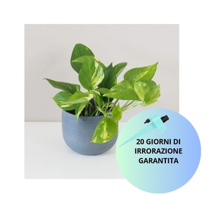 Set di Sistema di Irrigazione a Goccia Automatico 15 Pezzi Dispositivi di Irrigazione Regolabili per Piante e Giardino - Product Image 6