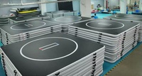 Tapis gonflable GAOHAO SPORTS 10' x 10' pour la lutte, les arts martiaux, la gymnastique et le MMA, matelas pneumatique
