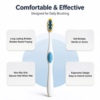 Brosses à dents manuelles personnalisées pour adultes – Fournisseur d'usine, support pour l'hygiène buccale quotidienne, nouveau design, brosses à dents en plastique à poils souples