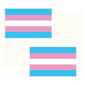 Drapeau LGBT Trans Pride 3x5 pieds, drapeau de la liberté de voler, drapeaux des droits des transsexuels, bannière arc-en-ciel transgenre - Product Image 5