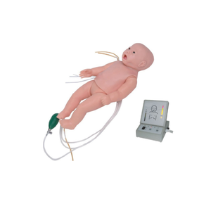 Model Anatomi Bayi Pediatrik Canggih ADA-FT337 untuk Pelatihan Medis, PVC, untuk Venipunktur dan CPR, Tubuh Penuh, ISO9001/ISO4001 - Product Image 1