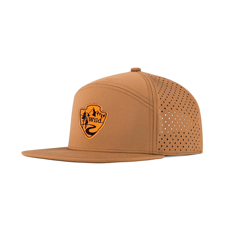 สีน้ำตาล