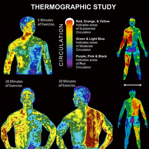 Elaaimei שומן זיעה קרם ירידה במשקל עיסוי עמוק רקמות הרזיה קרם לנשים וגברים כאחד - Product Image 5