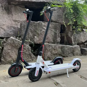 Electric Scooter New Arrival Original Max M 365 Led Motor Power Battery Time Charging Brake Foldable Scooters