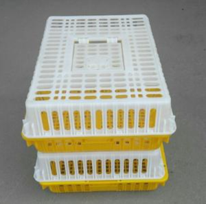 Nouvelles caisses de transport pour poulets, cage/poulailler <span class=keywords><strong>en</strong></span> plastique PE bon marché avec une capacité de 7 à 10 poulets, caisses agricoles - Product Image 3