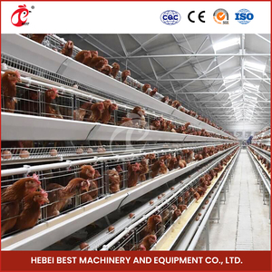 กรงแบตเตอรี่ไก่นก120สำหรับสำนักงานและคลังสินค้าใน Lagos และ Abuja - Product Image 6