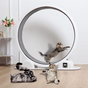 Nieuw Binnen 41 Inch Grote Kat Huisdier <span class=keywords><strong>Fitness</strong></span> Speelgoed Oefen Wiel Stappenteller Loopwiel Sport Roller Kat Loopband Loopband - Product Image 1