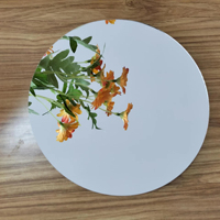 Miroirs cosmétiques concaves de qualité industrielle, miroirs grossissants 2x 3x 5x 7x 10x en verre