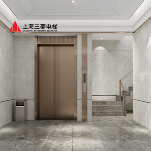 Ascensor de Pasajeros Mitsubishi de Bajo Precio con Decoración de Espejo Grabado para Casa, Villa u Hotel, Precio Competitivo - Product Image 2
