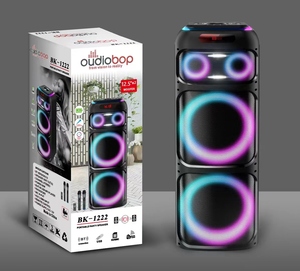 Woofer de fiesta al aire libre con sistema de potencia y graves de 100W Sonido BT y control remoto para uso doméstico Incluye micrófono - Product Image 5