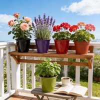 Pot Bunga Murah Berlapis Warna/Pot Bunga Berbagai Jenis/Pemasok Pot & Planter Terakota Pot & Planter Bunga Shandong HYFP-29